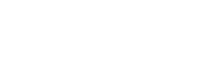Palm Tree International
